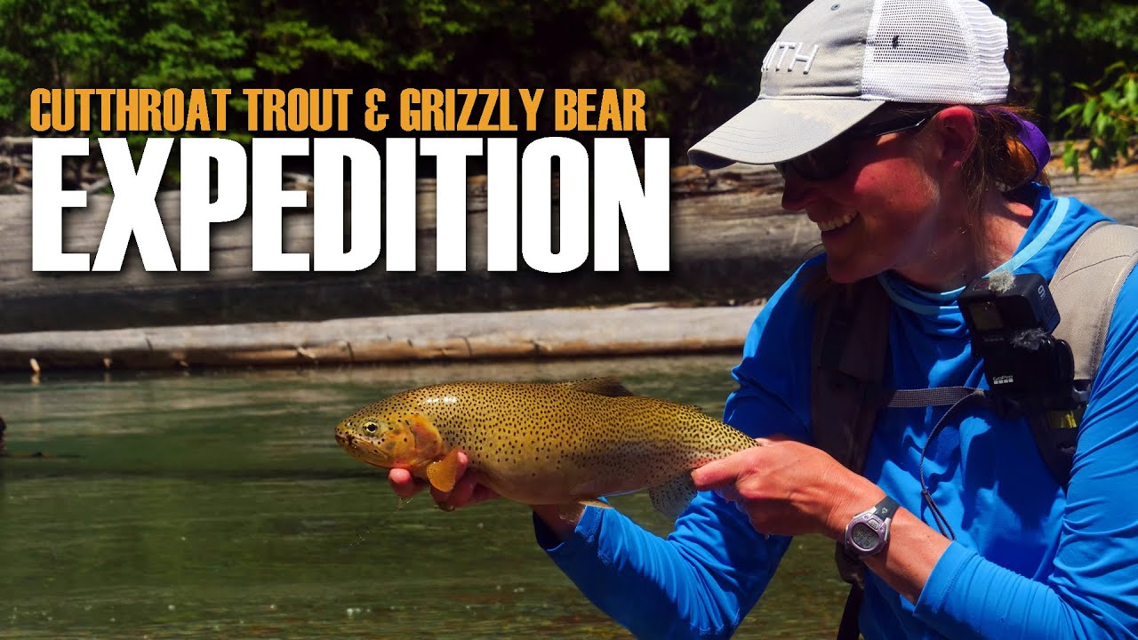 Fly-Fishing-Cutthroat-Trout.-One-Day-Expedition-into-cutthroat-and-grizzly-country.-Fly-Fish-Alberta
