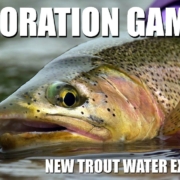 Fly-Fishing-The-Exploration-Gamble-Sticking-It-Out-amp-Reaping-the-Rewards.-Rainbow-amp-Brown-Trout
