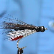 Fly-Tying-Mini-Black-Nosed-Dace-with-Jim-Misiura
