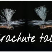 Parachute-Talks-Summer-Parachute