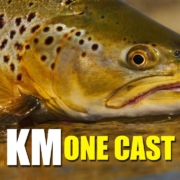 Sight-fishing-brown-trout-in-a-small-stream