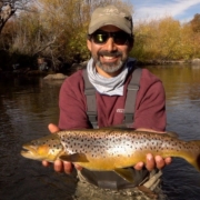 Brown-Trout-Can39t-Jump