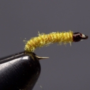 Corded-Midge-Larva
