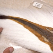 Different-Types-of-Bucktail-Hair
