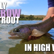 Dry-Fly-Rainbow-Trout-How-To-Find-Approach-Cast-Dry-Flies-to-Rainbow-Trout-in-Heavy-Wind