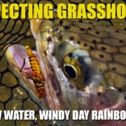 Fly-Fishing-Prospecting-Grasshoppers-for-Rainbow-Trout-in-Shallow-Water-on-a-Windy-Day