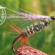 Fly-Tying-a-Sheep-Creek-Special-AP-Stillwater-Nymph