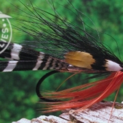 Fly-Tying-the-Black-Demon-Big-Trout-and-Steelhead-Fly-Pattern