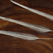 Hackle-Feather-Tie-in-3-Ways