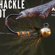 How-to-tie-The-CDC-Soft-Hackle-Carrot-AvidMax-Fly-Tying-Tuesday-Tutorials