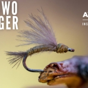 How-to-tie-the-CDC-BWO-Emerger-AvidMax-Fly-Tying-Tuesday-Tutorials