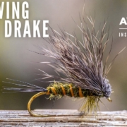How-to-tie-the-Hair-Wing-Green-Drake-AvidMax-Fly-Tying-Tuesday-Tutorials