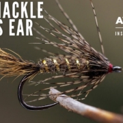 How-to-tie-the-Soft-Hackle-Hares-Ear-AvidMax-Fly-Tying-Tuesday-Tutorials