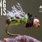 How-to-tie-the-Z-Wing-Caddis-AvidMax-Fly-Tying-Tuesday-Tutorials
