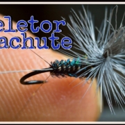 Peacock-Skeletor-Parachute