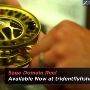 Sage-Domain-Fly-Reel-Russ-Miller-Insider-Review