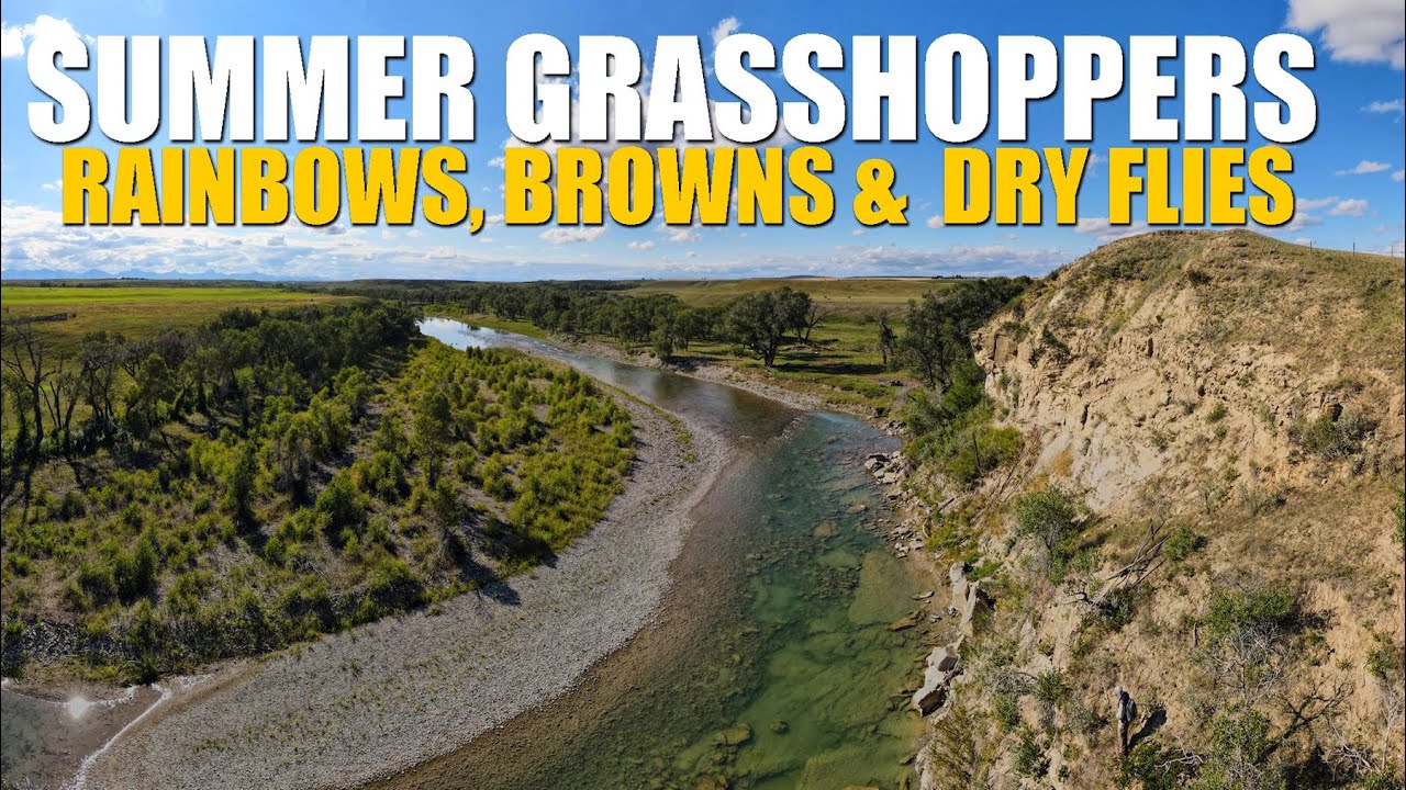 Summer-Grasshoppers-Sunny-Afternoon-Dry-Fly-Fishing-for-Rainbow-amp-Brown-Trout-in-Alberta-Canada