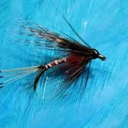 Tying-a-Peter-Ross-with-Martyn-White