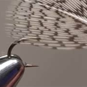 Using-Large-Feathers-on-Small-Soft-Hackles