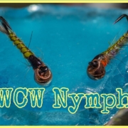 WCW-Nymph-Who-cares-what-nymph