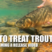 fly-fishing-How-to-Treat-Trout-Well-While-Filming-a-Release-Video
