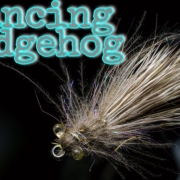Dancing-Hedgehog