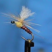 Fly-Tying-a-Biot-Body-Rusty-Sulpher-with-Jim-Misiura