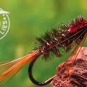 Fly-Tying-the-Diawl-Bach-Stillwater-Nymph-Pattern