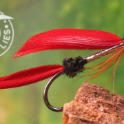 Fly-Tying-the-Flamer-Ray-Bergman-Classic-Wet-Fly