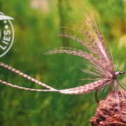 Fly-Tying-the-Two-Feather-Harry-Darbee-Catskill-Dry-Fly