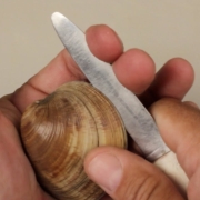 How-to-Open-Clams
