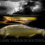 Late-Summer-Fly-Fishing-Baby-Tarpon