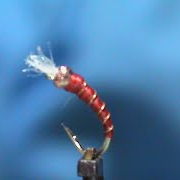 Beginner-Fly-Tying-a-Midge-Larva-with-Jim-Misiura