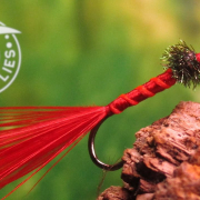 Fly-Tying-a-Bloodworm-Larva-Classic-style