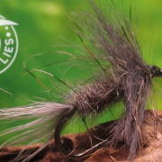 Fly-Tying-a-Pine-Squirrel-All-Fur-Wet-Fly-Dave-Hughes-Pattern