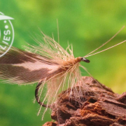 Fly-Tying-a-Spent-Wing-CDC-Caddis-Dry-Fly-Pattern