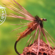 Fly-Tying-the-Winter-Brown-Classic-Spider-NymphWet