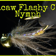 Macaw-Flashy-CDC-Nymph