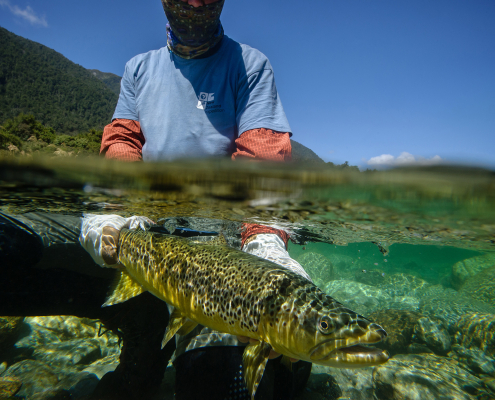 New Zealand - A Fly Fishing dream come true