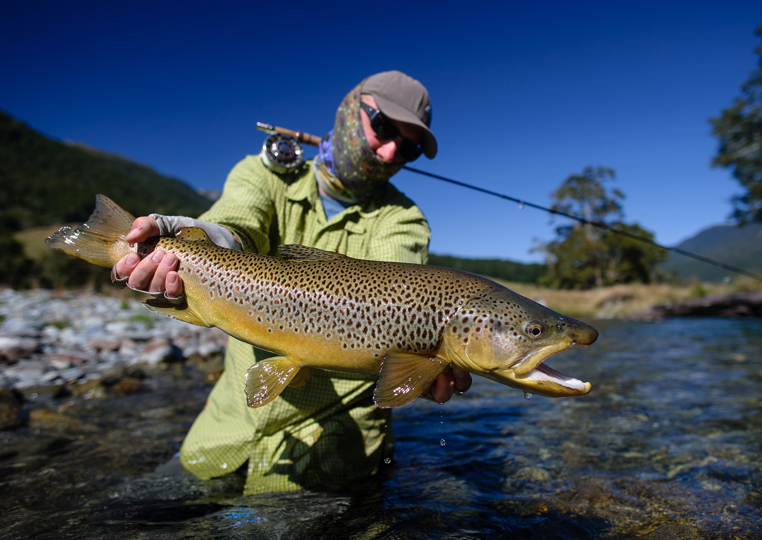 New Zealand - A Fly Fishing dream come true