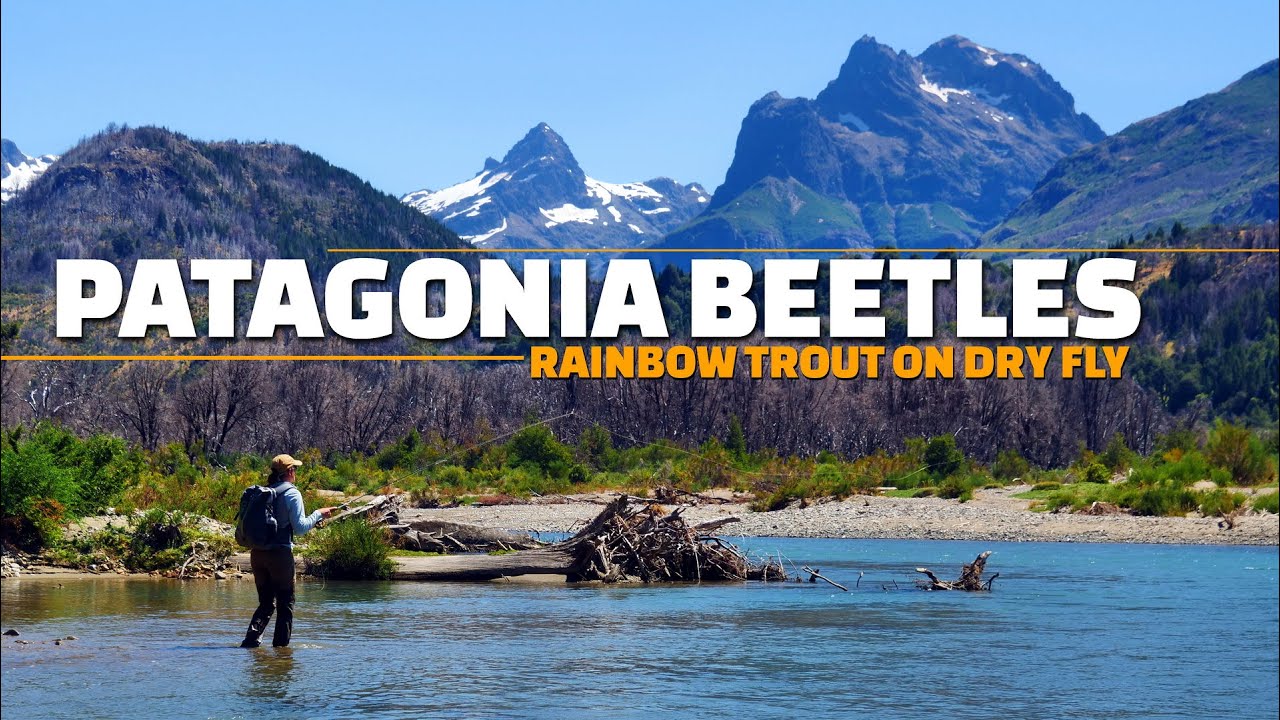 Patagonia-Beetles-Dry-Fly-Fishing-BIG-Beetle-Patterns-for-Rainbow-Trout-in-Patagonia