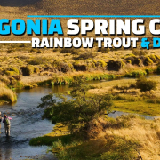 Patagonia-Spring-Creek-Fly-Fishing-Rainbow-Trout-amp-Dry-Fly-Fishing-in-a-Patagonia-Spring-Creek