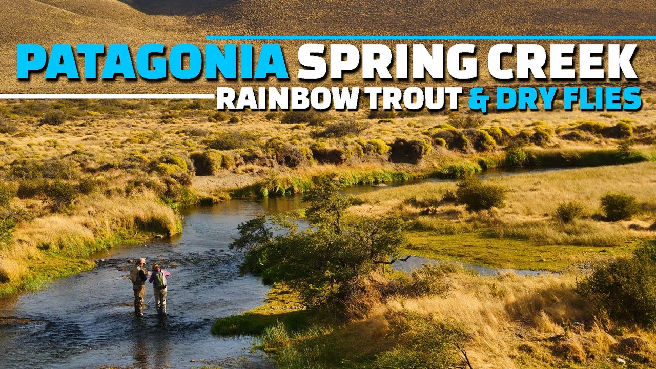Patagonia-Spring-Creek-Fly-Fishing-Rainbow-Trout-amp-Dry-Fly-Fishing-in-a-Patagonia-Spring-Creek