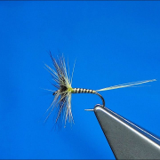 Tying-a-Clyde-Style-Dry-Fly-with-Davie-McPhail