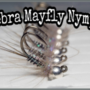 Zebra-Mayfly-Nymph