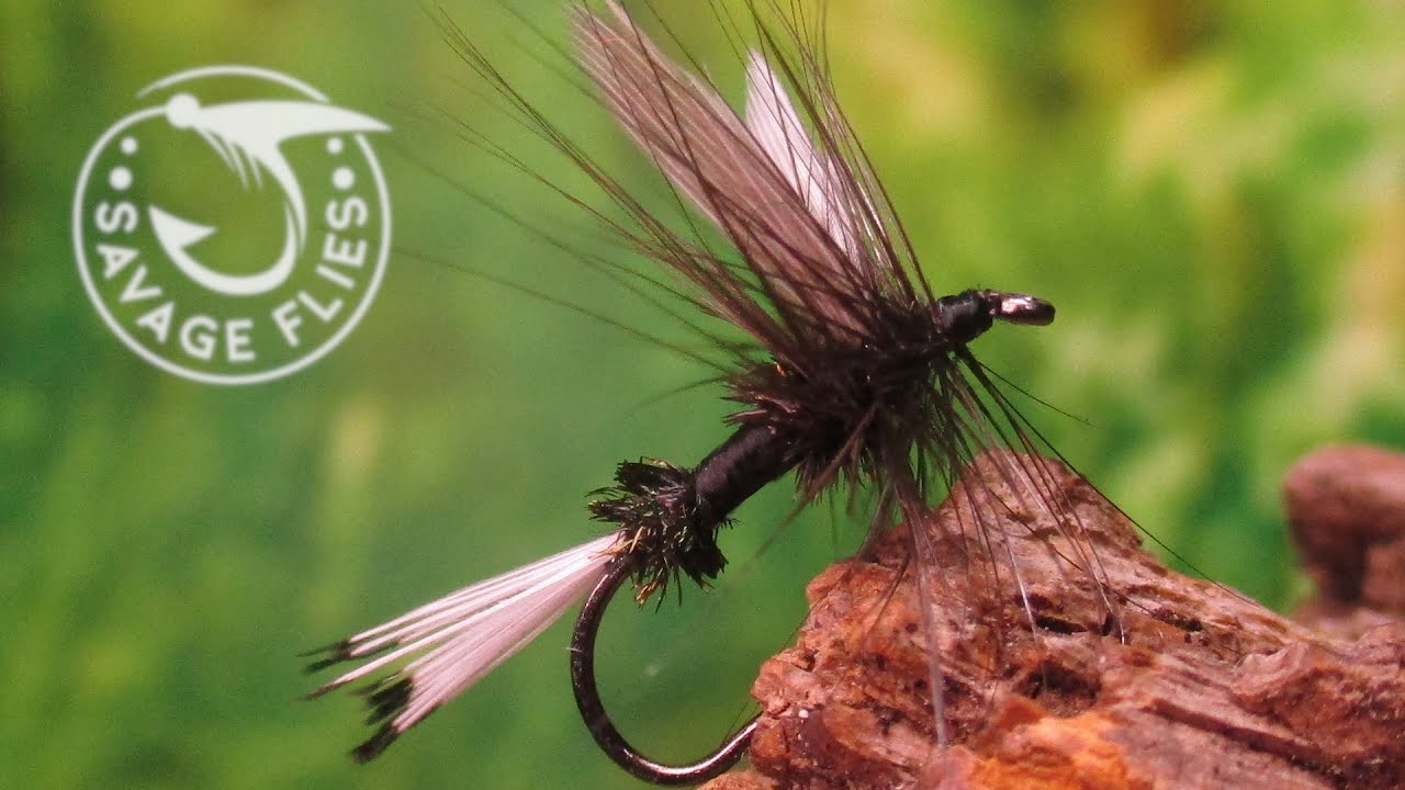 Fly-Tying-the-Black-Coachman-Dry-Fly-Variant