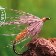 Fly-Tying-the-Finch-fuzzy-partridge-wet-fly-or-nymph