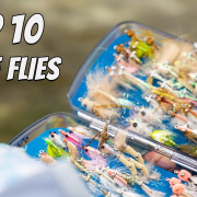 The-10-Best-Fly-Fishing-Flies-for-Belize-ULTIMATE-Guide