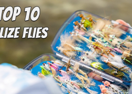 The-10-Best-Fly-Fishing-Flies-for-Belize-ULTIMATE-Guide