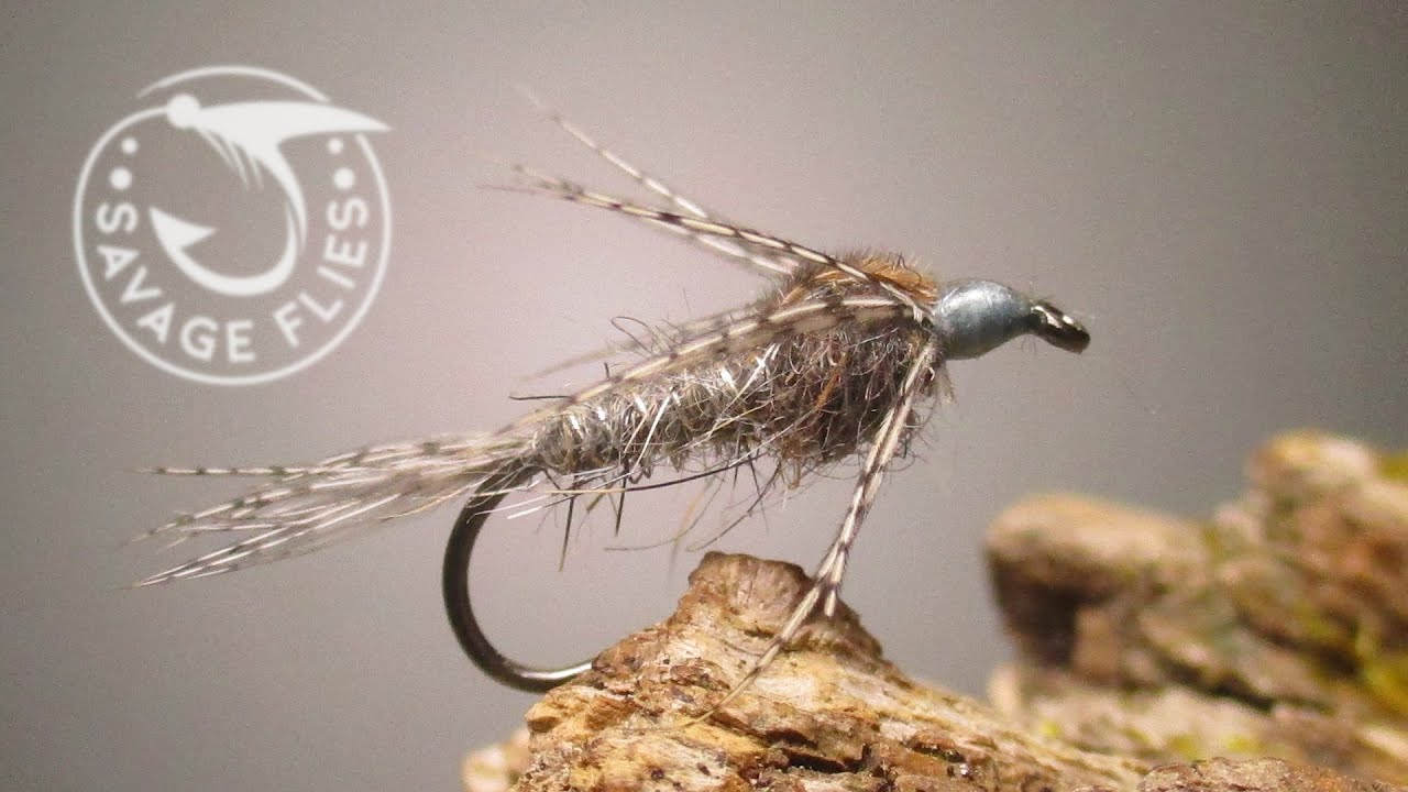 Fly-Tying-the-Lord-Gray-AP-Nymph-Pattern